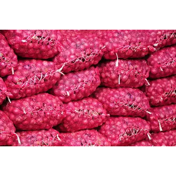 onion (4)-7960924-17036.webp